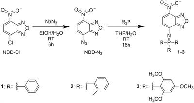 Self-Assembled Biocompatible Fluorescent Nanoparticles for Bioimaging